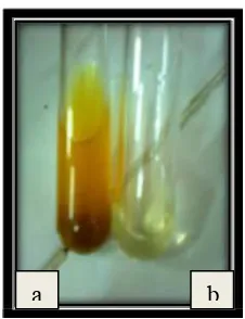Gambar 16. Uji tanin (a) Ekstrak etanol Aloe vera, (b) Ekstrak cair dari ampas terakhir Aloe vera  