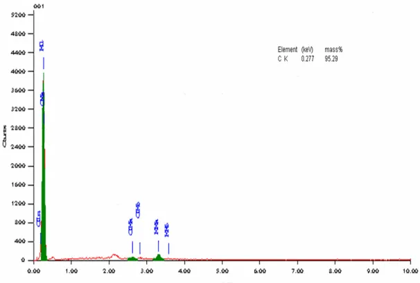 Fig 4. EDS analysis of the coconut shell carbon calcined at 1023 K, atmosphere Nitrogen