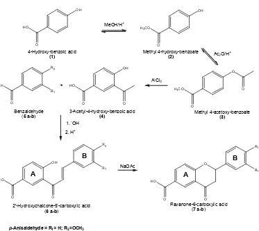 Fig 1. Route of synthesis of flavanone-6-carboxylic acid derivatives