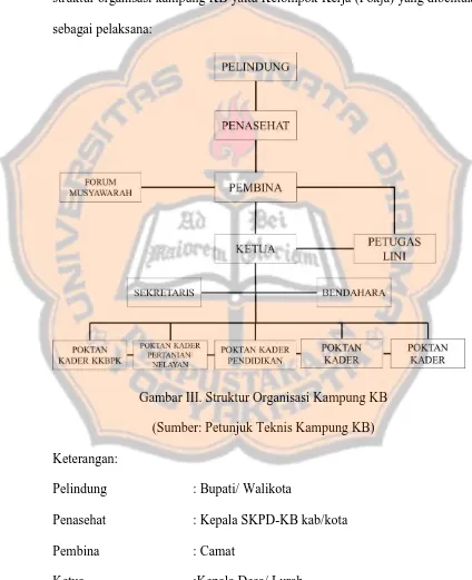 Gambar III. Struktur Organisasi Kampung KB 