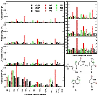 Fig 4. with different concentration, zooms of ion occupancies are provided in the right side., 0.5 M Naelectronegative atoms of uCACGg hairpin