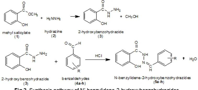 Fig 2. Synthesis pathway of N’-benzylidene-2-hydroxybenzohydrazides