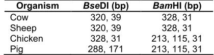 Fig 1. Comparison of BseDI and BamHI restriction map of 359 bp cytB DNA fragment from various organisms [25]