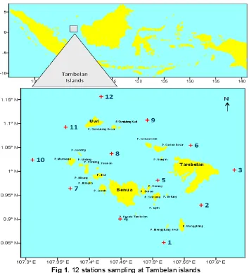 Fig 1. 12 stations sampling at Tambelan islands