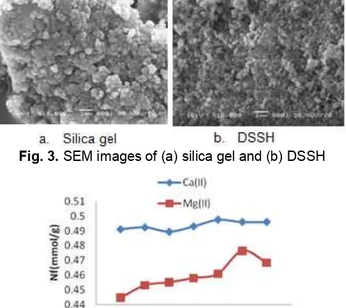 Fig. 3. SEM images of (a) silica gel and (b) DSSH
