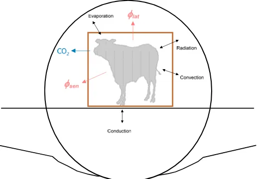 Figure 4: Diagrammatic representation of the interaction between a transported animal and the environment in an aircraft hold 
