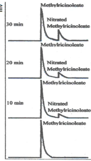 Fig 1. Chromatograms of methyl ricinoleate (MR) and nitrated methyl ricinoleate (Nitrated MR) at 10, 20 and 30 min  