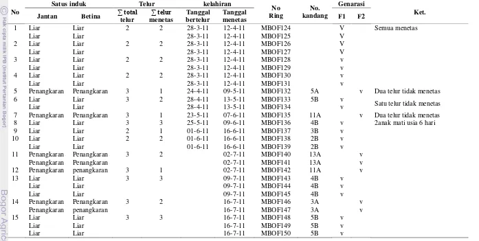 Tabel  17  Data studbook jalak bali di penangkaran MBOF ( Maret-Agustus 2011) 