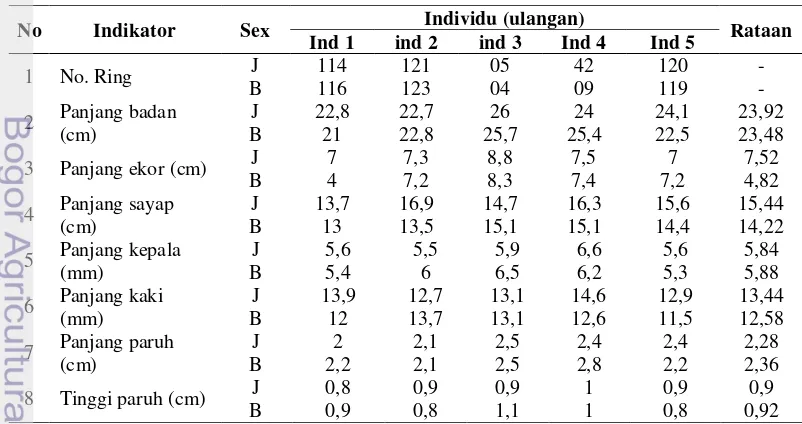 Tabel 18  Karakteristik morfologi kuantitatif  jalak bali jantan dan betina pada 
