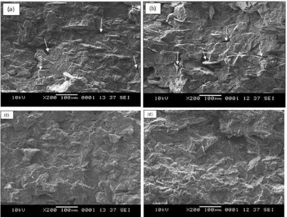 Fig 4. SEM micrograph of tensile surface; (a) untreated PP/chitosan composite (20 php); (b) untreated PP/chitosan composite (40 php); (c) treated PP/chitosan composite (20 php); (d) treated PP/chitosan composite (40 php); all magnifications are 200X