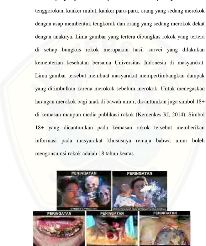 Gambar 2.1  Peringatan kesehatan bergambar pada kemasan rokok di Indonesia  (sumber: www.promkes.depkes.go.id) 