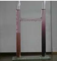Fig 1. Crystal growth occurred in H-tube reactor