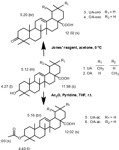 Fig 1. Oxidation and acetylation of C-3(OH) of theursolic [oleanolic] acids isolated from fragraea fragransfruits and their δH values: compound 1[2] in d-pyridine;compound 3[4] and 5[6] in d-DMSO respectively