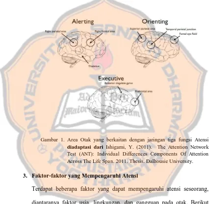 Gambar 1. Area Otak yang berkaitan dengan jaringan tiga fungsi Atensi  Ishigami, Y. (2011)