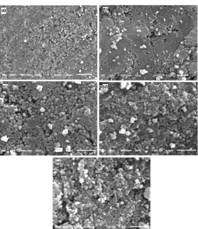 Fig 3. SEM images of samples with various calcined temperatures: (a) sample A at 500; (b) B at 550; (c) C at 600;(d) D at 650; and (e) E at 700 °C