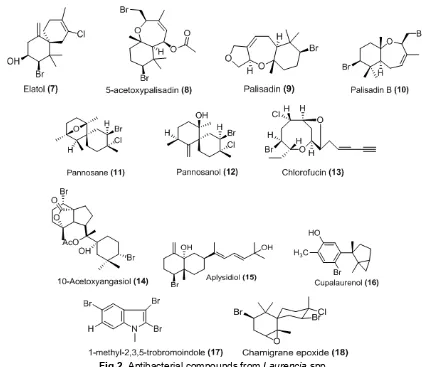 Fig 2. Antibacterial compounds from Laurencia spp.