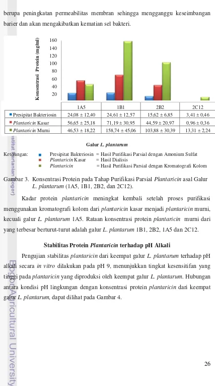 Gambar 3.  Konsentrasi Protein pada Tahap Purifikasi Parsial Plantaricin asal Galur 