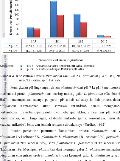 Gambar 4. Konsentrasi Protein Plantaricin asal Galur L. plantarum (1A5, 1B1, 2B2 