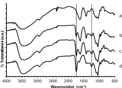 Fig 2. SEM micrograph of dry butanediol-alginate ester membrane (A), wet, after diffusion (B)