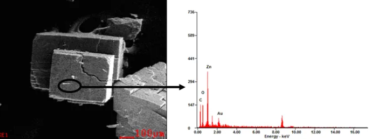 Fig 10. SEM-EDX images of MOF-5 synthesized at 120 °C for 24 h