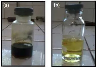 Fig 1. The color of eugenol (a) before and (b) after themethylation reaction