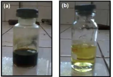 Fig 1. The color of eugenol (a) before and (b) after themethylation reaction