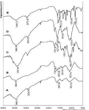 Fig 1. IR spectra of A. Chitosan, B. CMC, C. Pectin, D. Pectin-CMC, E. Pectin-CMC-BADGE