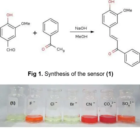 Fig 1. Synthesis of the sensor (1)