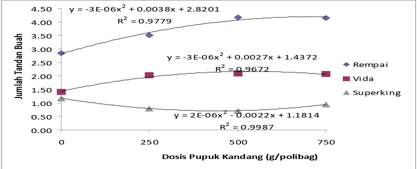 Tabel 3. Jumlah Tandan Buah (buah) 