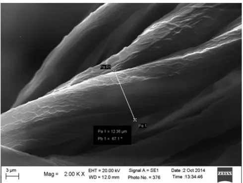 Fig 2. TEM images of pineapple nanocellulose fibers at magnification of 13,500X 