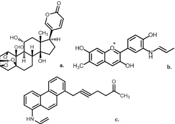 Fig 1.  (a) bufadienolide, (b) phenolic, and (c) alkaloid compounds from Kalanchoe plants [6-16] 