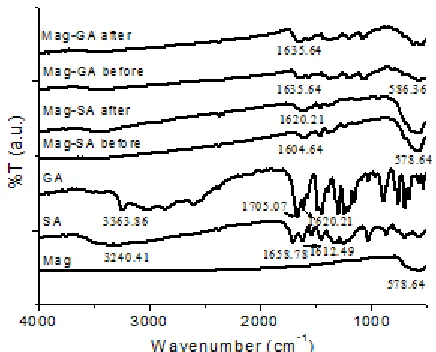 Fig 1. FTIR spectra Mag, SA and GA (before and aftermodification) and Mag-SA and Mag-GA (before and afteradsorption)