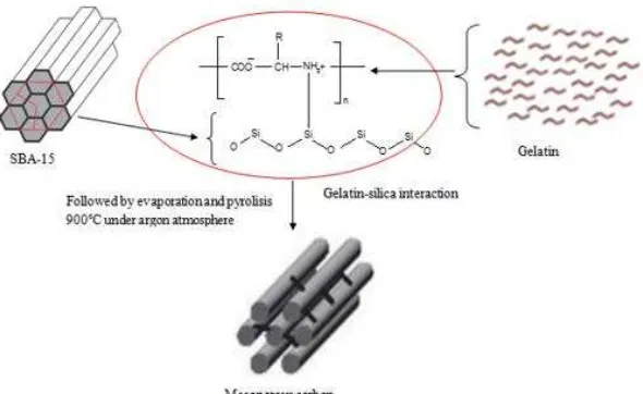 Fig 1.  The illustration of gelatin-silica interaction during synthesis of ideal mesoporous carbon 