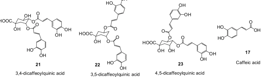 Fig 6. α-Glucosidase Inhibitors Active Compounds from dicaffeoylquinic acid (Tussilago farfara L; 3,4-Dicaffeoylquinic acid (21), 3,5-22), 4,5-dicaffeoylquinic acid (23), and caffeic acid (17)