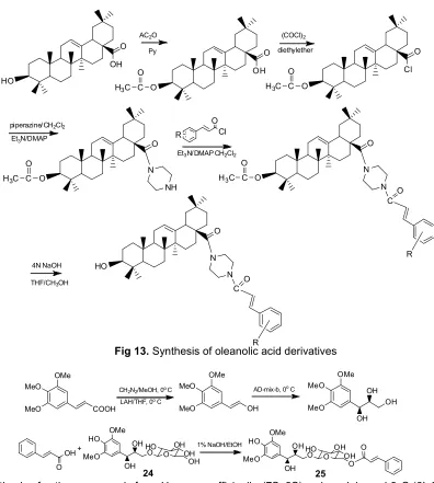 Fig 14. Synthesis of active compounds fromD-glucopyranoside ( Hyssopus officinalis; (7S, 8S)-syringoylglycerol-9-O-(6`-O-cinnamoyl)-β-24) and (7S, 8S) – syringoyl glycerol 9-O-β-D-glucopyranoside (25)