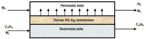 Fig 1. A schematic of the 2 dimensional simulated Pd-Ag MR during propane dehydrogenation