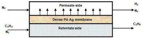 Fig 1. A schematic of the 2 dimensional simulated Pd-Ag MR during propane dehydrogenation