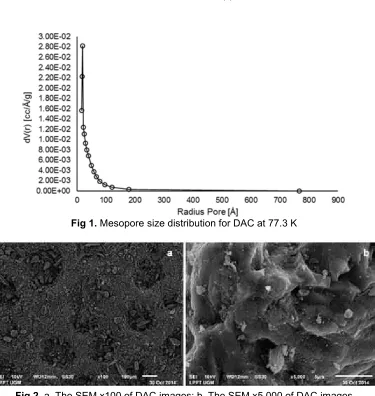Fig 2. a. The SEM x100 of DAC images; b. The SEM x5.000 of DAC images