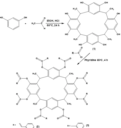 Fig 1. Scheme of C-metylcalix[4]resorcinaryl octacinnamate (2) and C-metylcalix[4]resorcinaryl octabenzoatesynthesis (3)