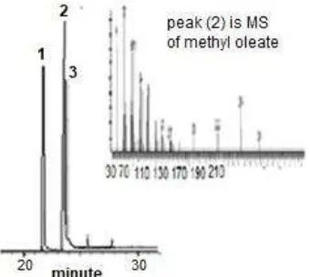 Fig 4. FTIR spectrum of Al-MCM-41 after absorption of pyridine 