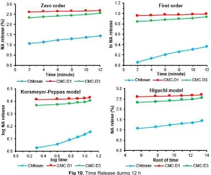 Fig 10. Time Release during 12 h