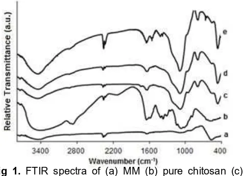 Fig 1. FTIR spectra of (a) MM (b) pure chitosan (c)