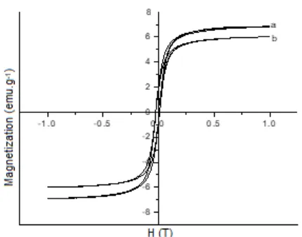 Fig 4. Magnetization curve of Fe3O4/SiO2/GPTMS-Arg(a) Route 1 and (b) Route 2