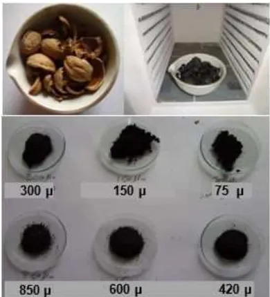 Fig 1. Walnut shells before and after burn and differentsizes of adsorbent