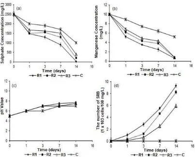 Fig 1. Variation sulphate concentrations (a), manganese concentrations (b), pH values (c) and the number of SRBcells (d) during batch experiments of bioreactor using synthetic wastewater which treated by zeolite R1: diametersize 0.4-0.6 cm, R2: 0.6-0.8 cm, R3: 0.8-1.2 cm and C: without treatment