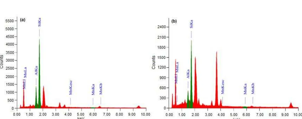 Fig 5. EDX spectra of SRB biofilm attached on zeolite particle after interacting with manganese in the continuousreactor after 5 days operation (a) and 9 days operation (b)