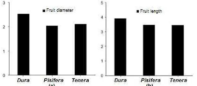 Fig 2. Fruit diameter (a) and length (b) from three type of oil palm. Data are expressed as the mean ± SE (n = 6–8)