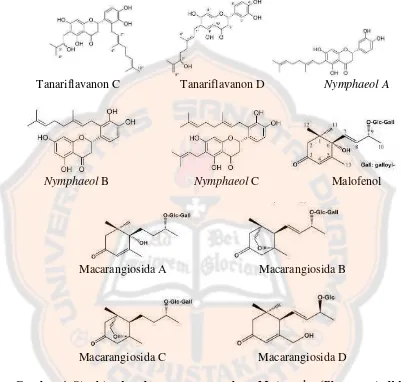 Gambar 4. Struktur kandungan senyawa daun M.  tanarius (Phommart, dkk., 2005) dan (Matsunami, 2006) 