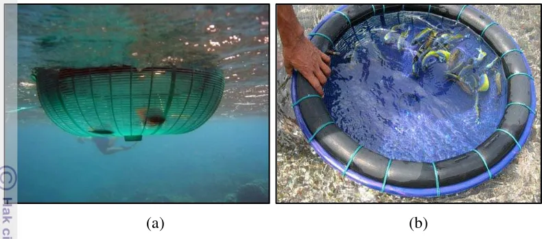 Gambar 9  Keranjang tampungan ikan: (a) tampak bawah; (b) tampak atas. 