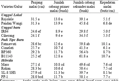Tabel  6  Panjang malai, jumlah cabang primer dan sekunder malai, dan kepadatan malai padi varietas unggul 